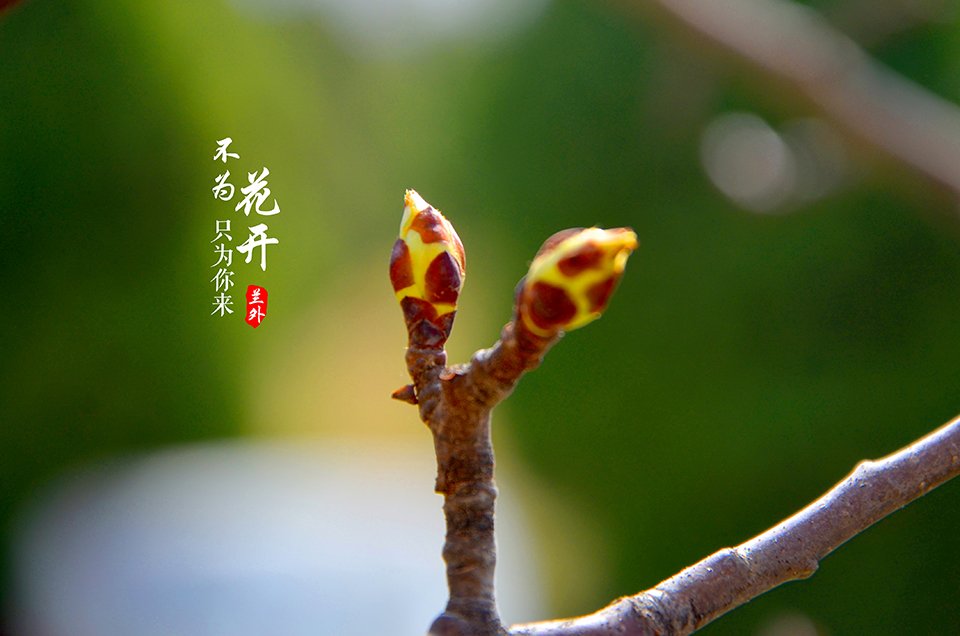 江南APP官方官方网站官方网站入口说